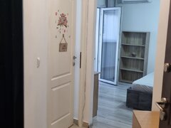 Iancului, Pantelimon